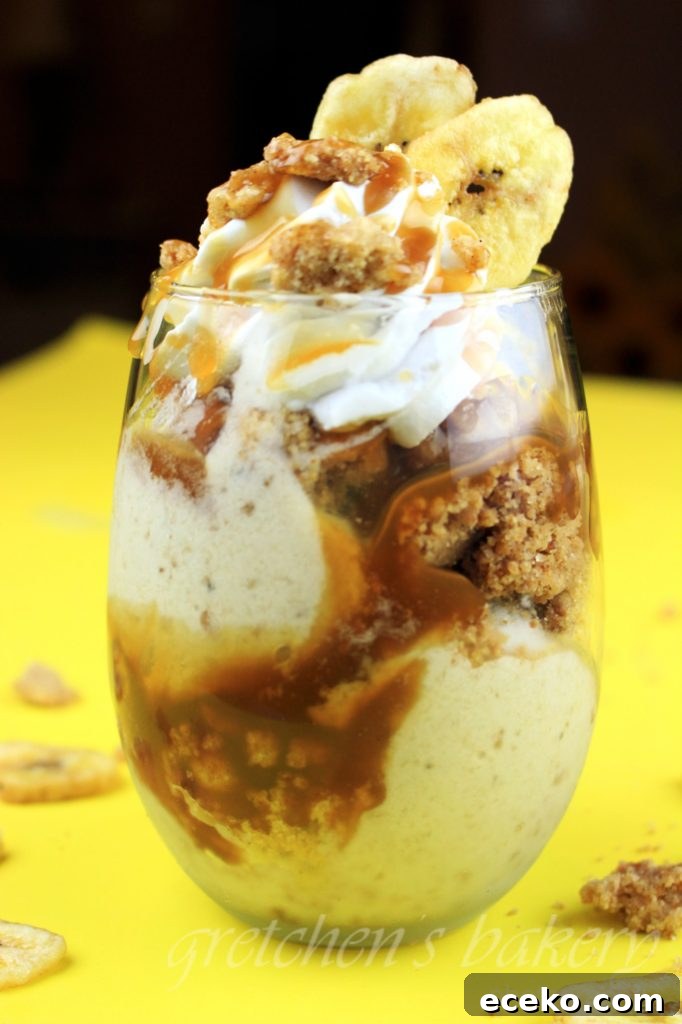 Apple Pie Nice Cream a la Mode Recipe: Dairy-Free Dessert 4 Nice Cream Recipe Caramel Banana Parfait