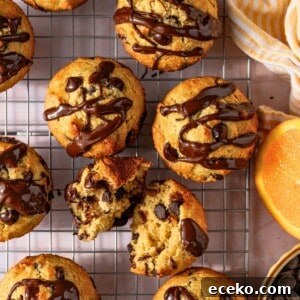 A batch of chocolate chip muffins drizzled in melted chocolate on a wire baking rack.