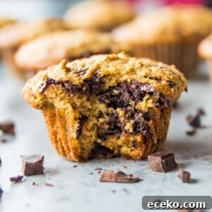 A paleo chocolate chip zucchini muffin with a bite out of it.