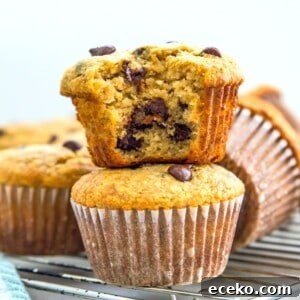 A stack of two paleo banana muffins with chocolate, and the top one has a bite out of it.