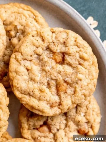 Salted caramel oatmeal cookies