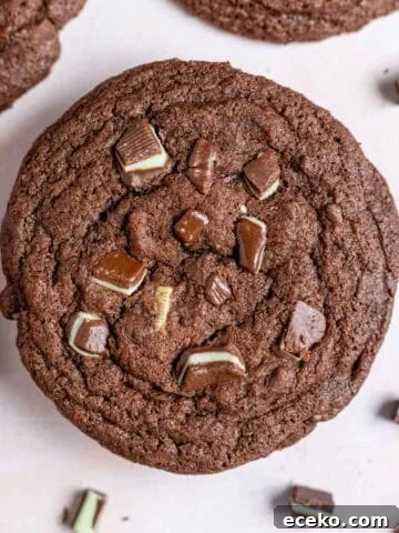 Chewy Andes mint chocolate cookies