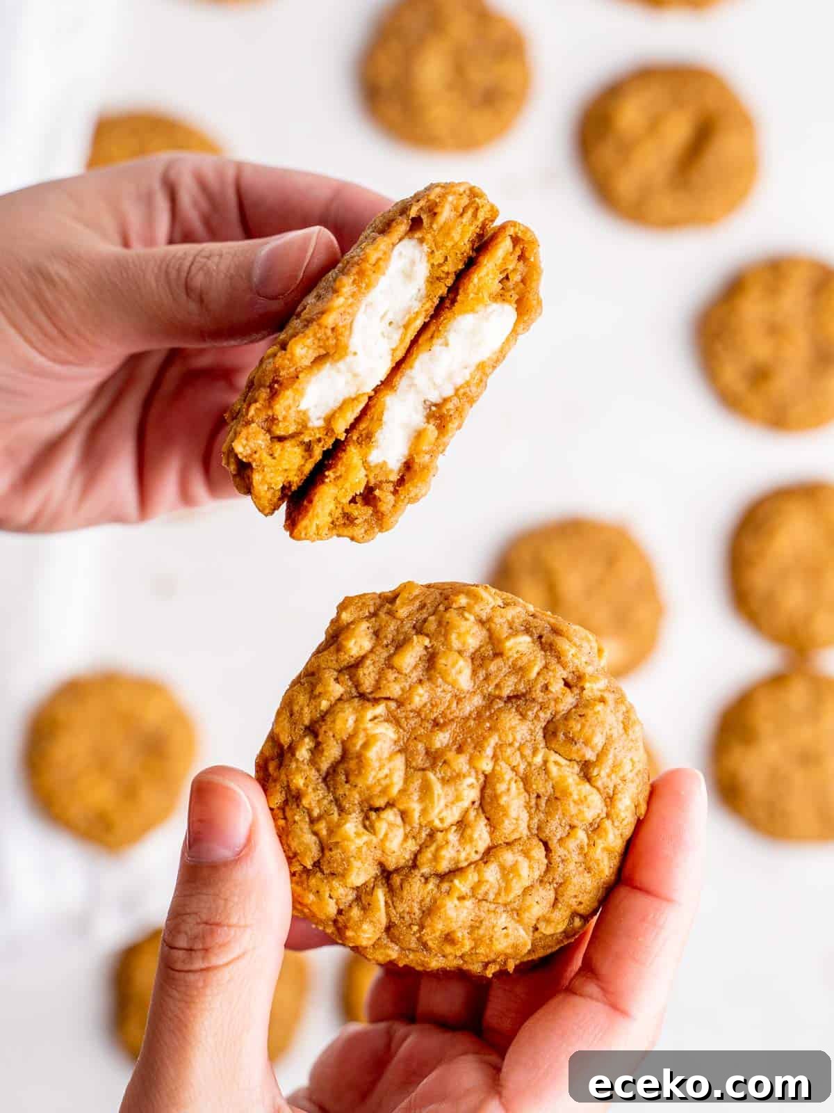 Oatmeal Pumpkin Cheesecake Cookie Recipe for Fall Baking 6 one hand holding two halves of an oatmeal pumpkin cheesecake cookie showing the center and one hand holding a whole cookie