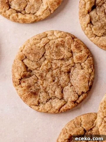 Sourdough snickerdoodle cookie
