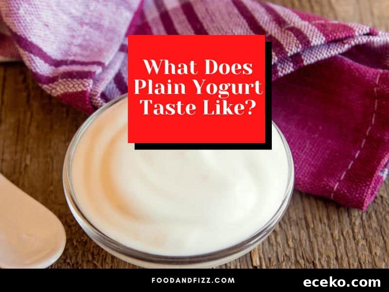 What Does Plain Yogurt Taste Like? Real Flavor Guide 2 What Does Plain Yogurt Taste Like?