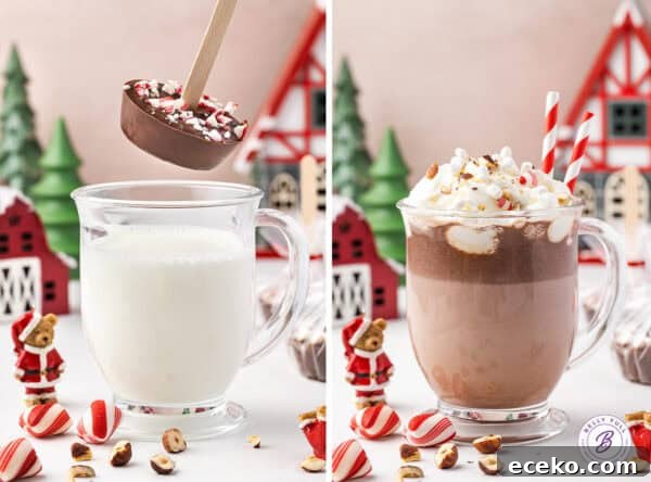 Hot Chocolate Sticks: Easy Melt-and-Serve Cocoa Treats 7 A hot chocolate on a stick being added to hot milk on the left and a photo of the hot chocolate on the right