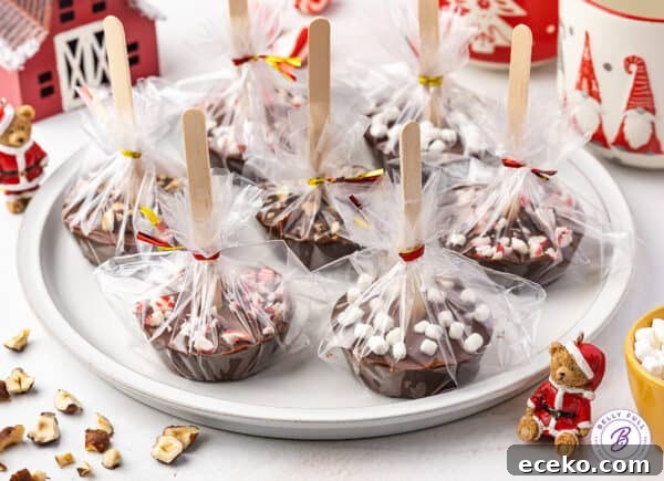 Hot Chocolate Sticks: Easy Melt-and-Serve Cocoa Treats 8 A plate of hot chocolate on a stick individually wrapped in cellophane