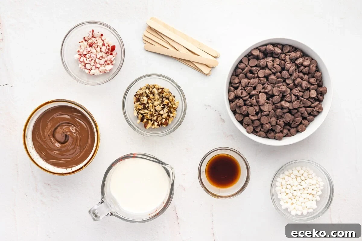 Made with semi-sweet chocolate, Nutella, and heavy cream, Hot Chocolate on a Stick is a fun way to enjoy a rich, indulgent mug of hot cocoa. Overhead view of ingredients needed to make hot cocoa on a stick