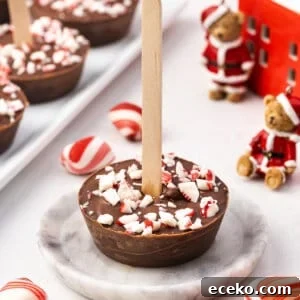 Hot Chocolate Sticks: Easy Melt-and-Serve Cocoa Treats 2 A hot chocolate on a stick on a plate