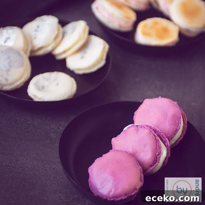 A square photo with three different macarons on black trays