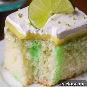 Lemon-Lime Poke Cake Recipe — Zesty Moist Citrus Dessert 2 img 84172 6