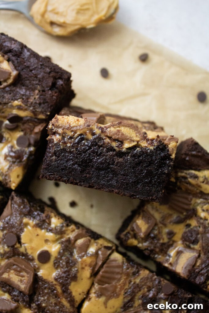Chocolate peanut butter brownies
