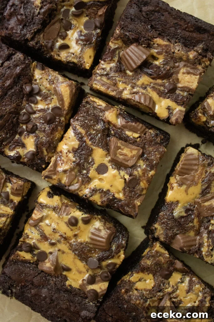 Brownie closeup