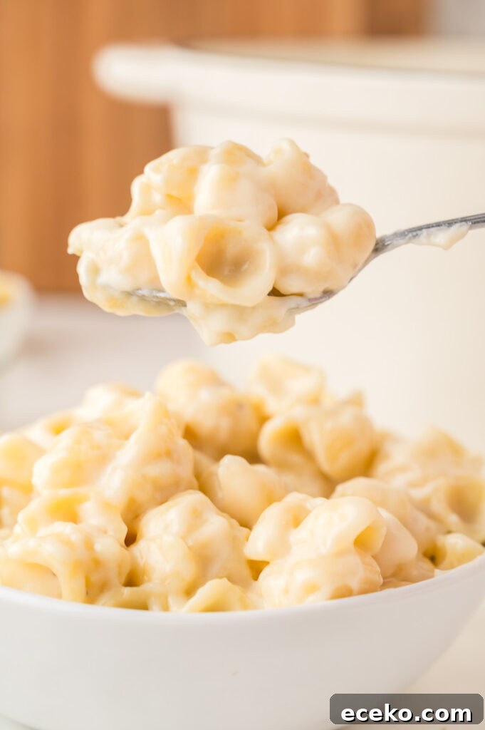 One-Pan Ricotta Lasagna Casserole Recipe 7 Panera copycat mac and cheese recipe scooped up on a spoon.