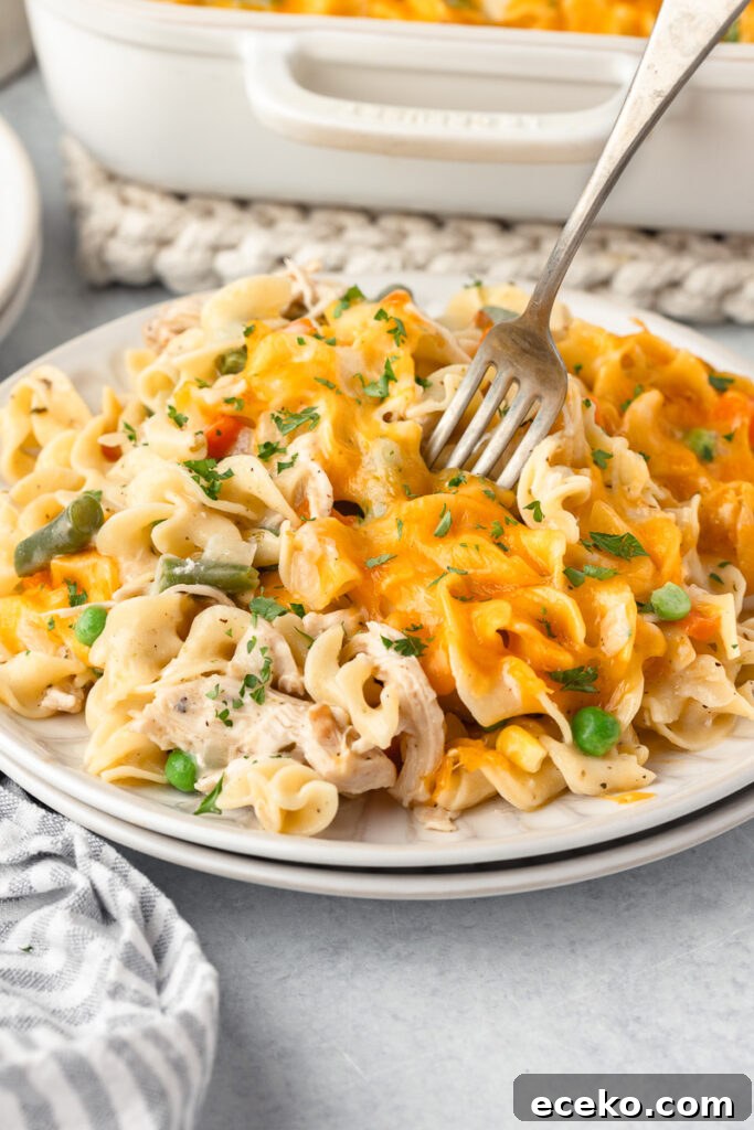 One-Pan Ricotta Lasagna Casserole Recipe 8 Chicken noodle casserole served on a white plate.
