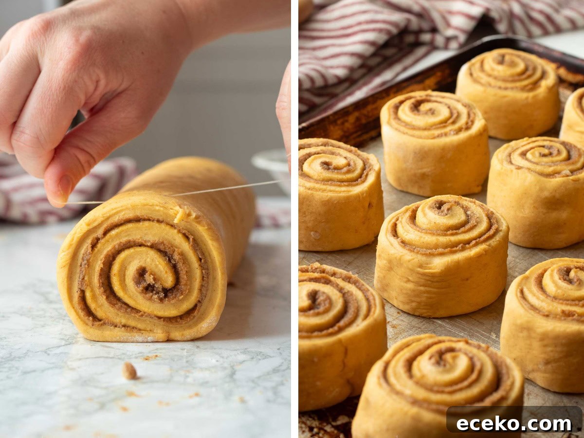 Cutting pumpkin cinnamon roll and raw cinnamon rolls on pan.