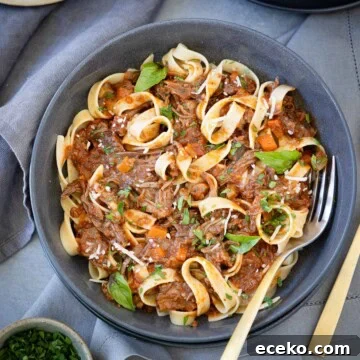 A gray bowl of twirled pasta topped with a beef short rib ragu, parsley, and a little parmesan.