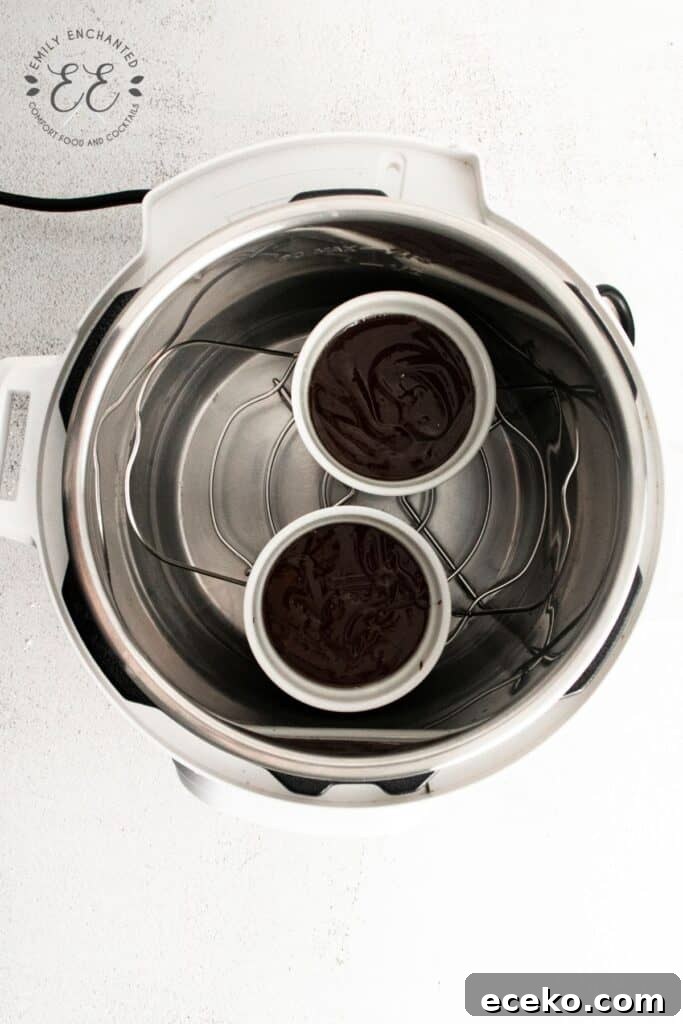 Instant Pot Lava Cakes