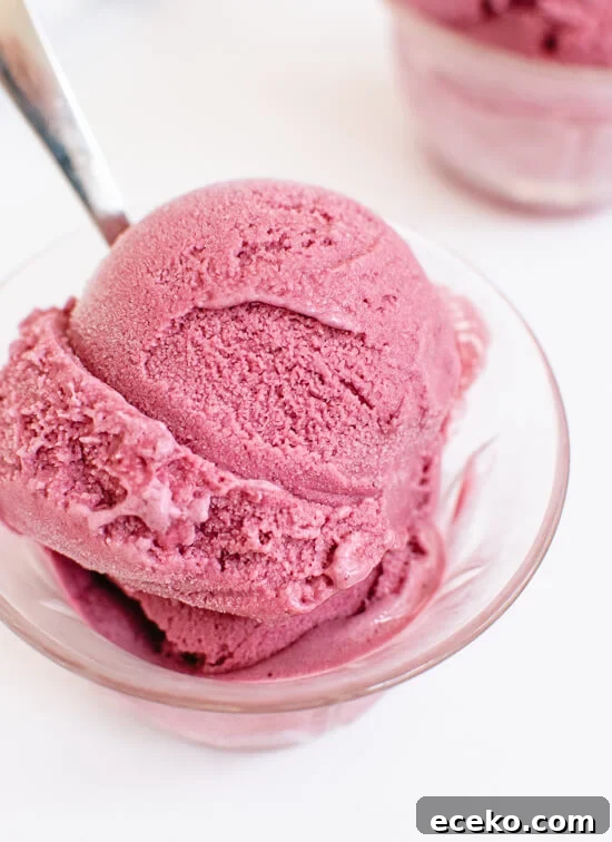 Blueberry frozen yogurt