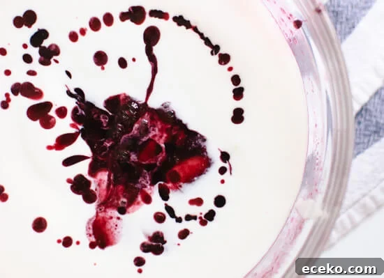 blueberry concentrate and yogurt