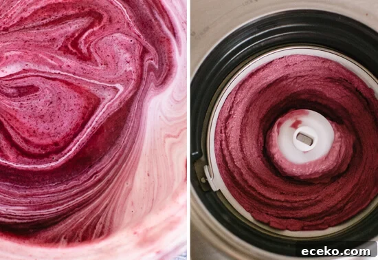 how to make blueberry frozen yogurt