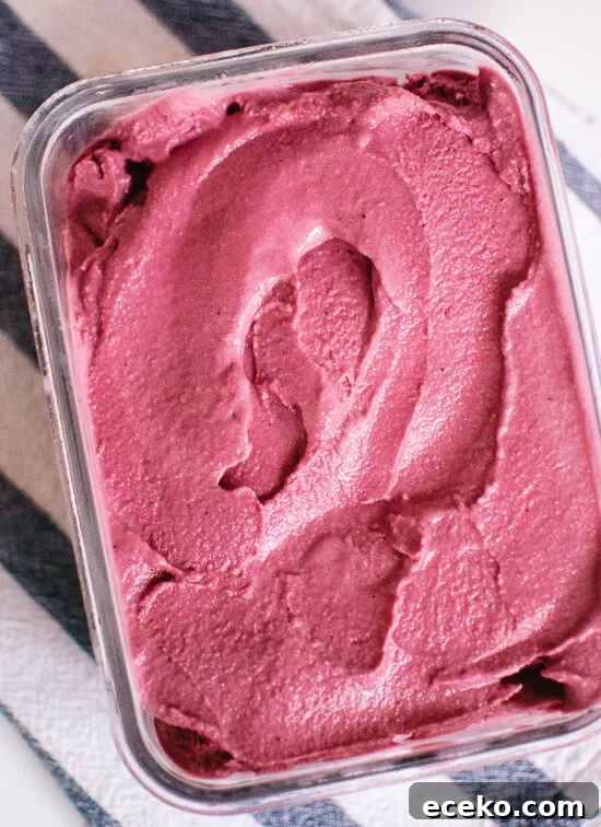 Blueberry frozen yogurt recipe