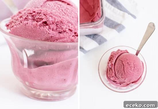Homemade blueberry frozen yogurt