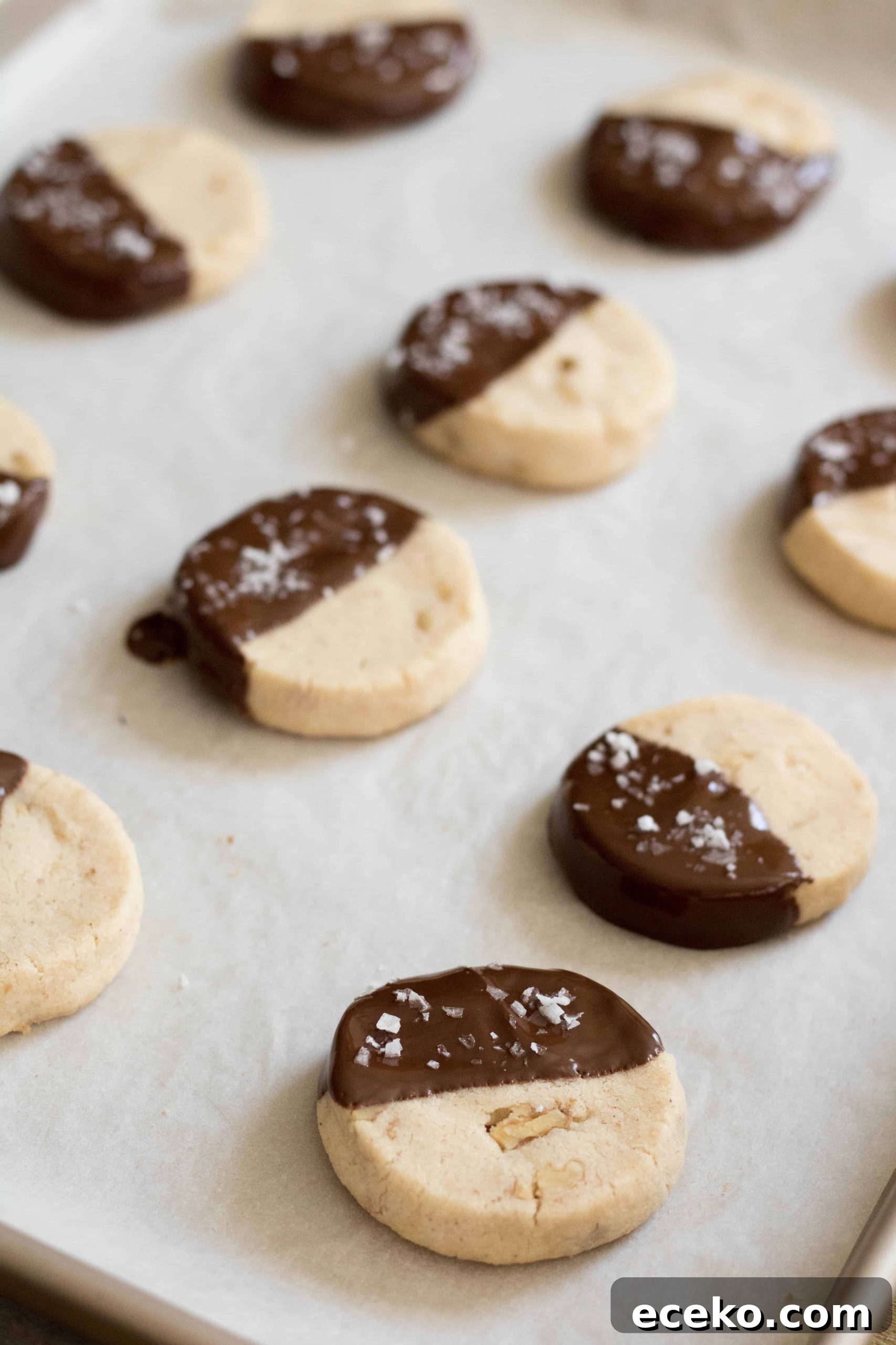 chocolate walnut cut and bake cookies to make when stressed