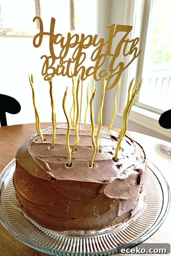 Two-Layer Vegan Chocolate Cake (No Eggs, Milk, or Butter) 2 LAYERED CHOCOLATE CRAZY CAKE (NO EGGS, MILK or BUTTER)