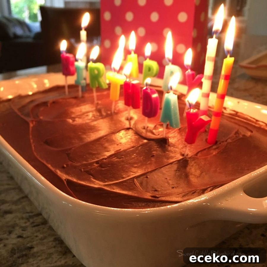 Two-Layer Vegan Chocolate Cake (No Eggs, Milk, or Butter) 3 Crazy Cake in a pan