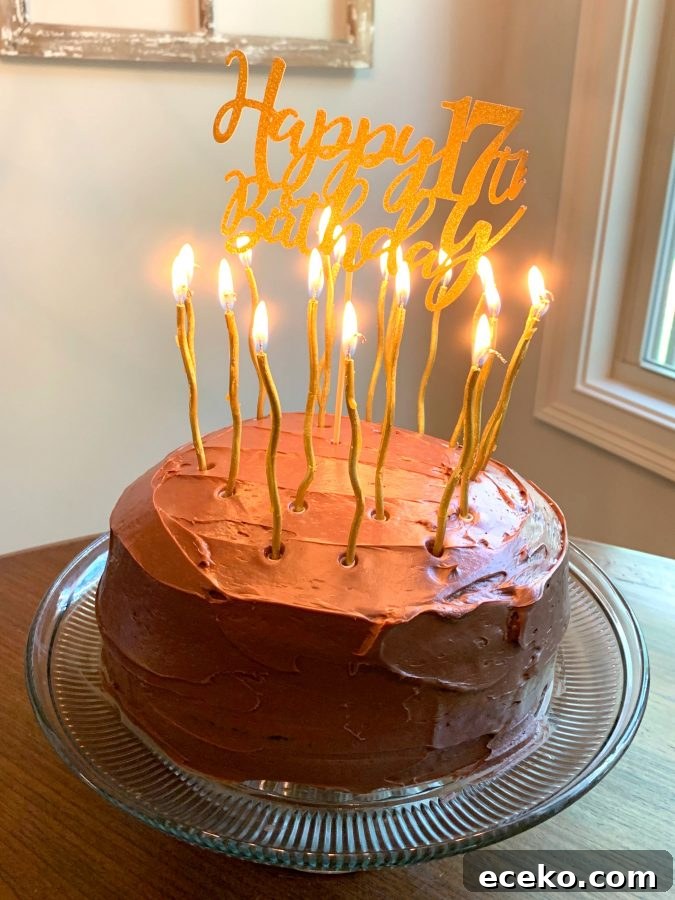 Two-Layer Vegan Chocolate Cake (No Eggs, Milk, or Butter) 4 Layered Chocolate Crazy Cake