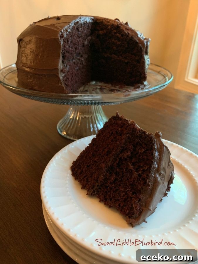 Two-Layer Vegan Chocolate Cake (No Eggs, Milk, or Butter) 5 Two-Layer Crazy Cake