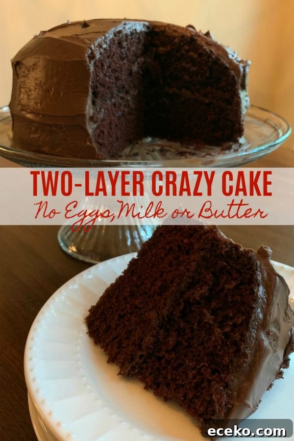 Two-Layer Vegan Chocolate Cake (No Eggs, Milk, or Butter) 6 Two-Layer Crazy Cake pin