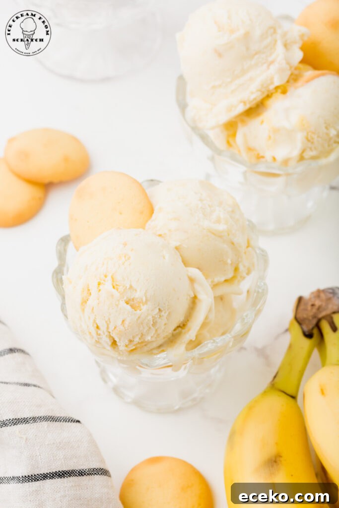 Creamy Banana Pudding Ice Cream Recipe for Summer 5 two glass ice cream dishes filled with scoops of banana pudding ice cream and garnished with whole vanilla wafers.