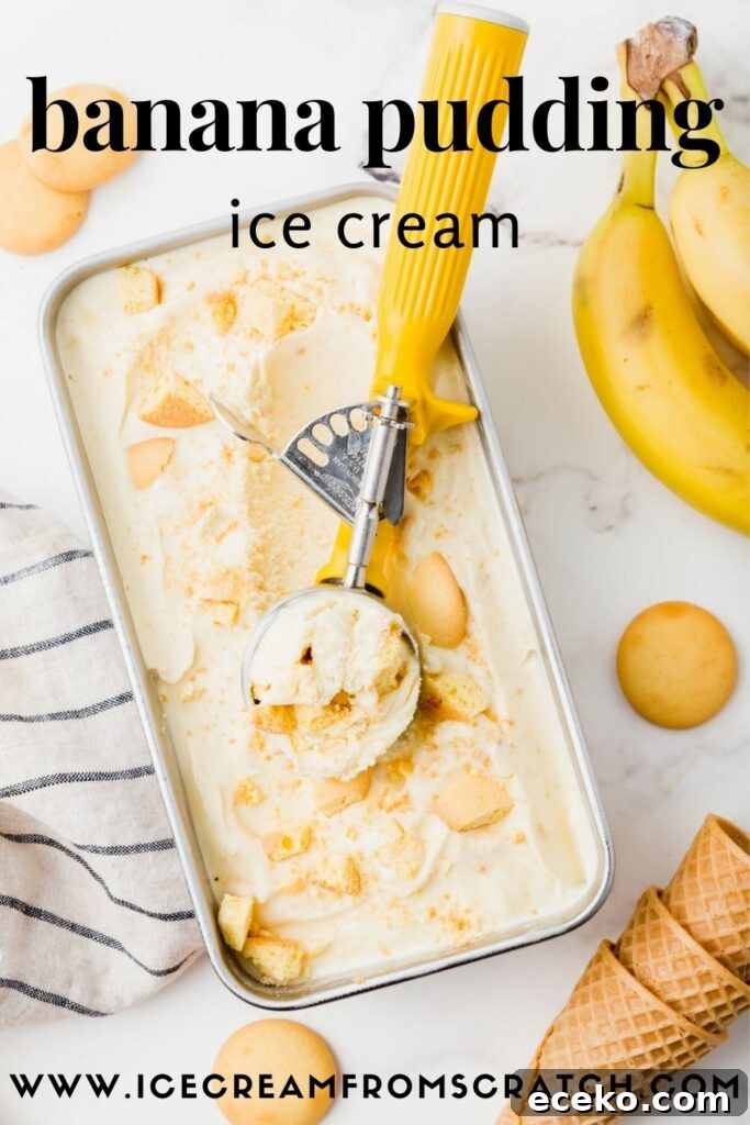 Creamy Banana Pudding Ice Cream Recipe for Summer 7 a metal pan filled with banana ice cream topped with vanilla wafers being scooped with a yellow ice cream scoop.