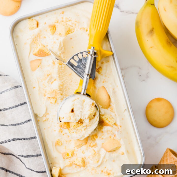 a metal pan filled with banana ice cream topped with vanilla wafers being scooped with a yellow ice cream scoop.