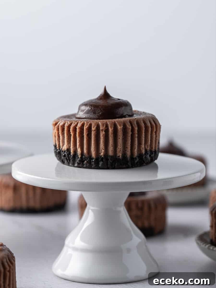 Mini Chocolate Cheesecakes with Rich Ganache Topping 2 one mini chocolate cheesecake on a white cake stand