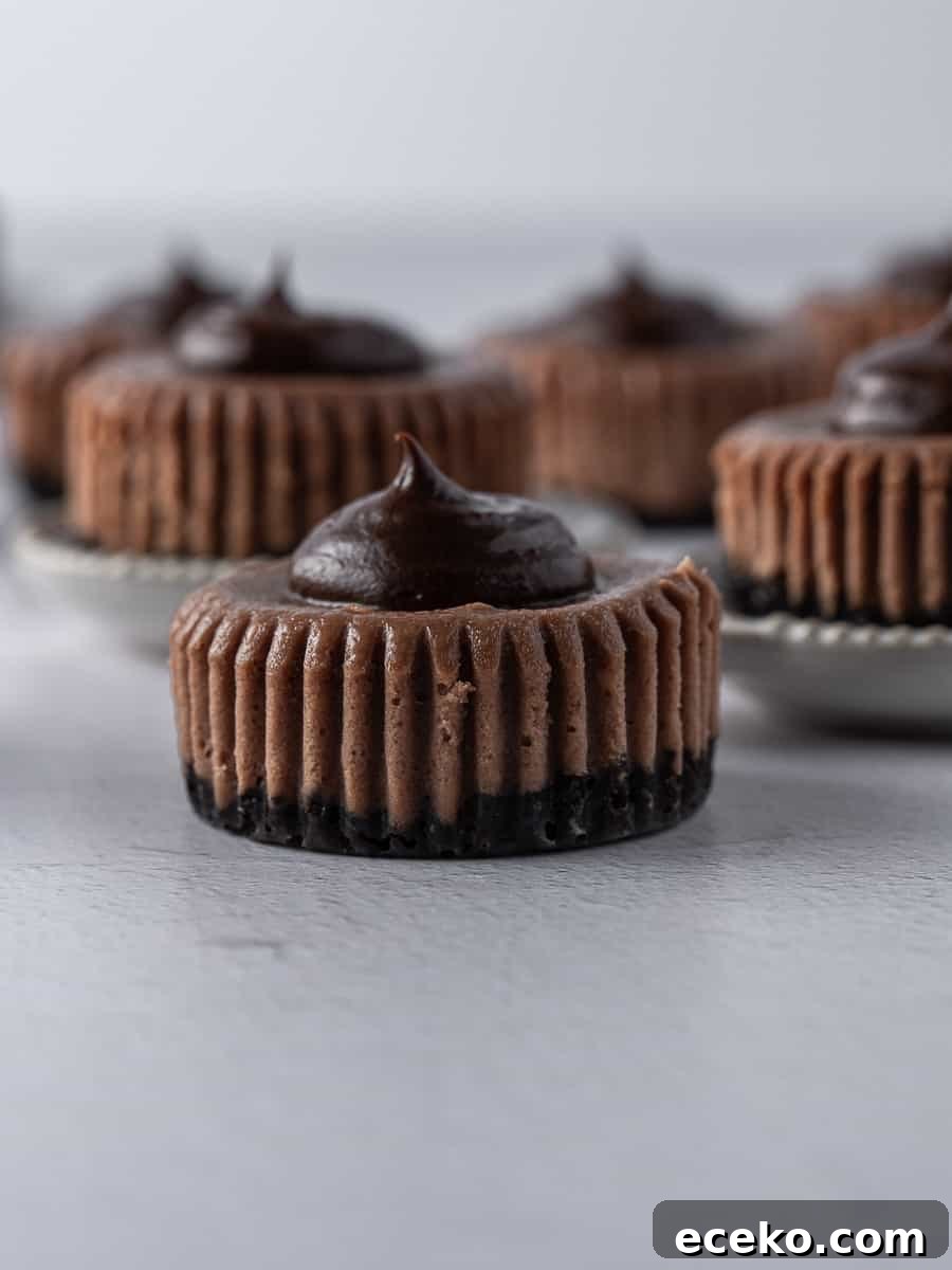 Mini Chocolate Cheesecakes with Rich Ganache Topping 5 side shot showing the mini chocolate cheesecake