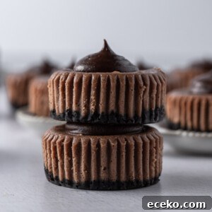 Mini Chocolate Cheesecakes with Rich Ganache Topping 7 two chocolate mini cheesecake stacked