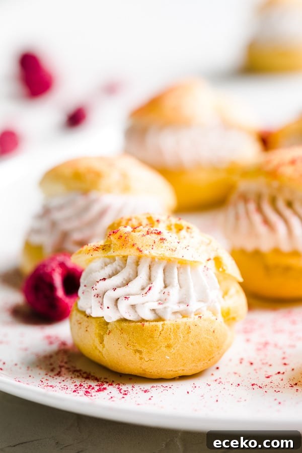 Raspberry Crème Puffs with Vanilla Cream Filling 9 img 24633 8