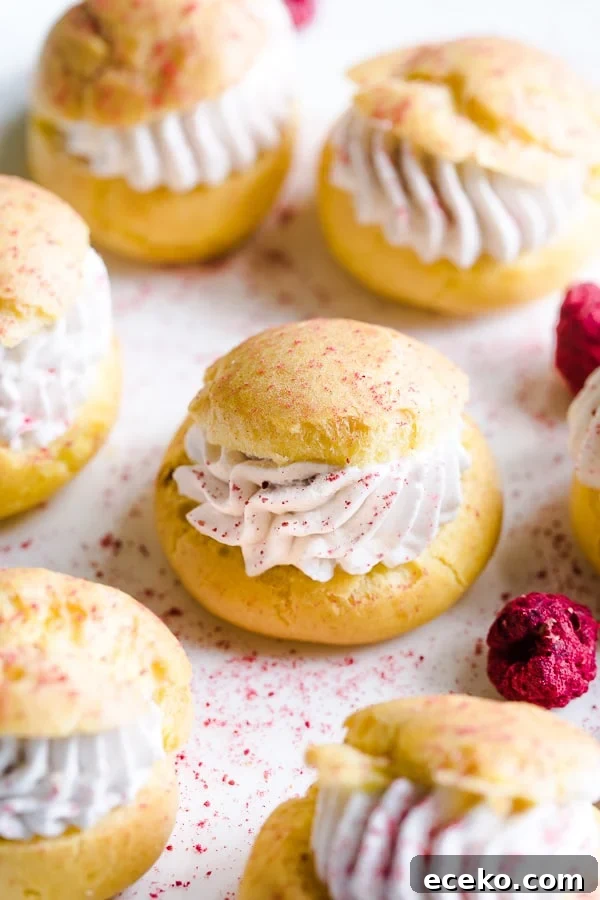 Raspberry Crème Puffs with Vanilla Cream Filling 10 img 24633 9