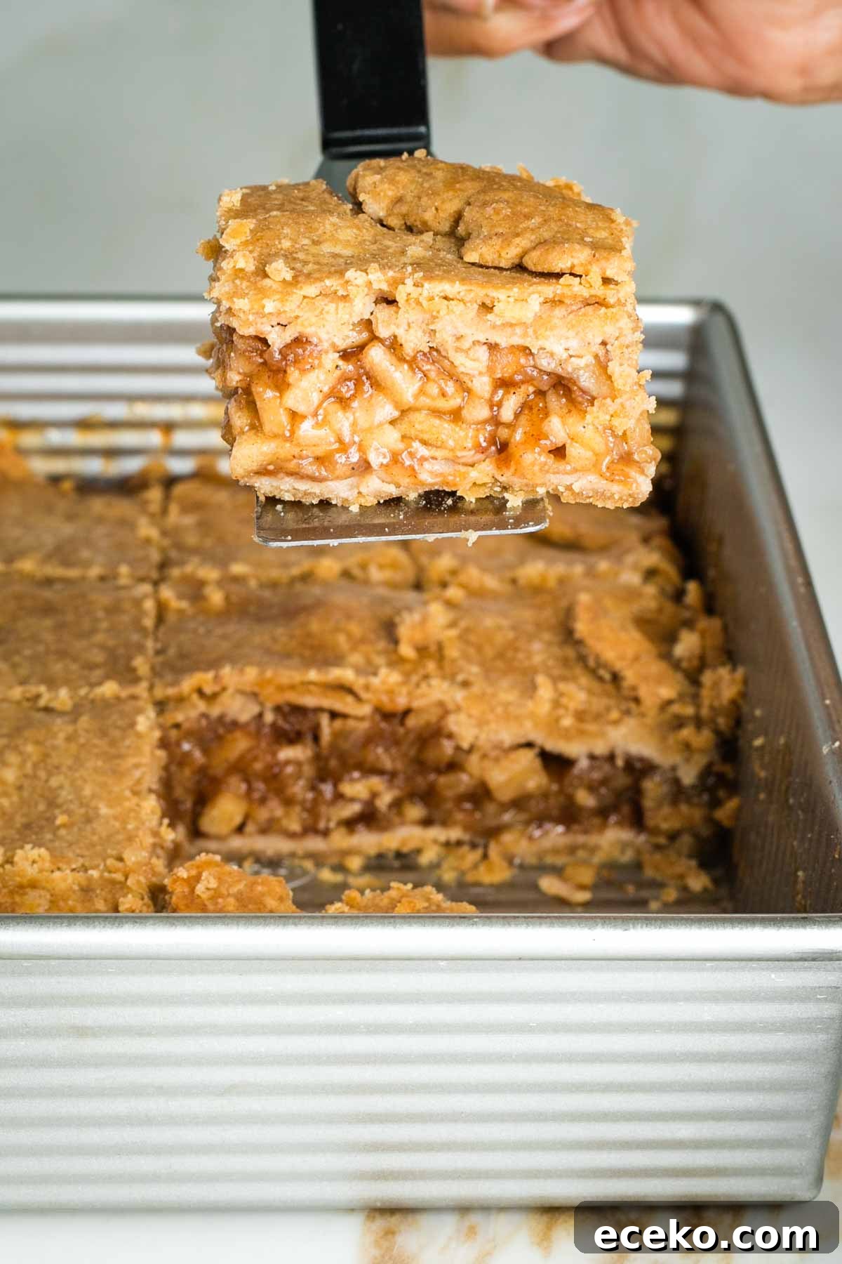 Vegan Apple Pie Bars with Cinnamon Streusel 22 img 29216 21