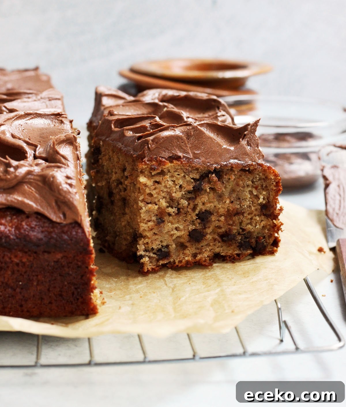 Moist Banana Chocolate Chip Cake with Milk Chocolate Frosting 3 chocolate chip banana cake