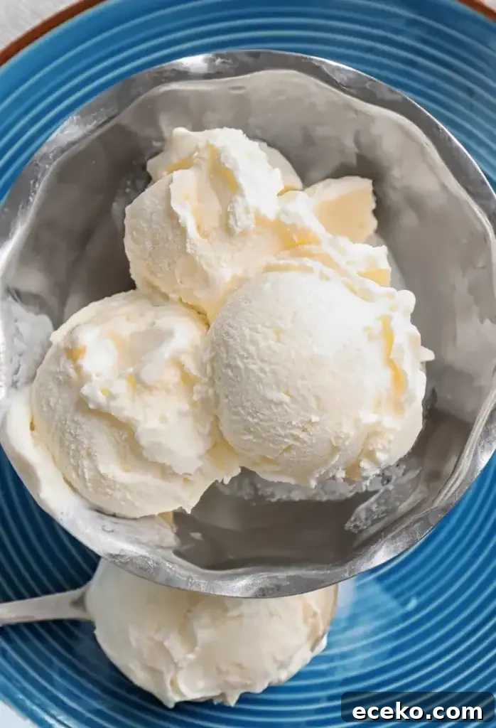 Piñon (Pine Nut) Ice Cream Recipe 2 Toasted pinon nuts and piñon ice cream