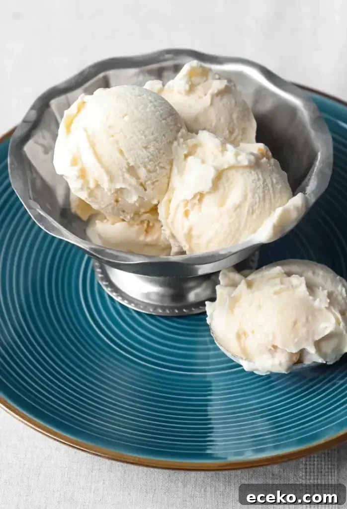 Piñon (Pine Nut) Ice Cream Recipe 3 Ingredients for pinon ice cream