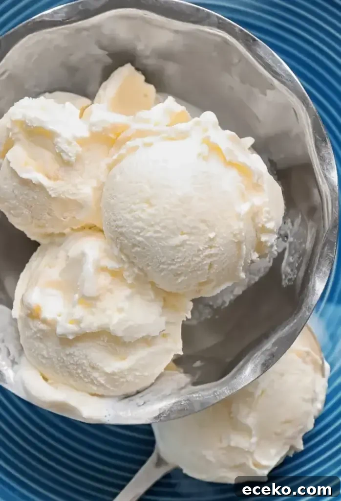 Piñon (Pine Nut) Ice Cream Recipe 4 Piñon ice cream churned and ready