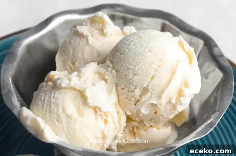 Piñon (Pine Nut) Ice Cream Recipe 6 Pinon ice cream