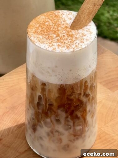 Iced Salvadoran Horchata Latte in a glass with cinnamon