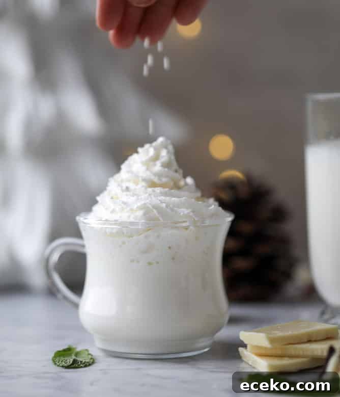 Creamy White Hot Chocolate with Fresh Mint 3 fresh mint white hot chocolate I howsweeteats.com #hotchocolate #christmas #holidays #whitechocolate