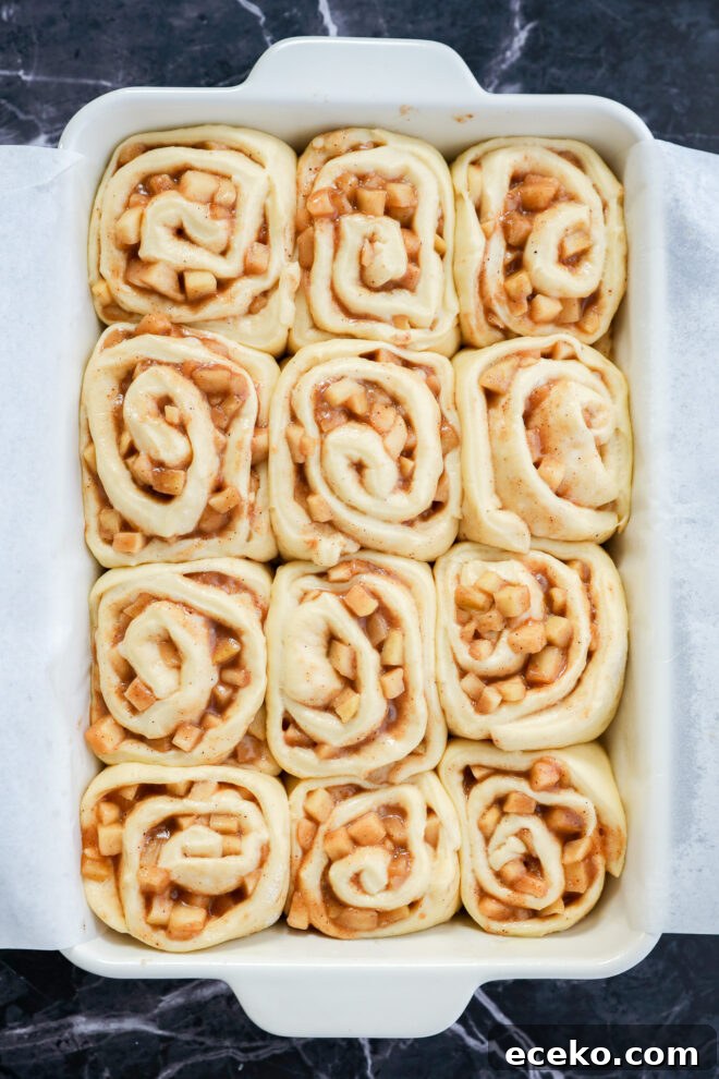 Cinnamon Rolls Stuffed with Apple Pie Filling 7 A white baking dish lined with parchment paper holds twelve unbaked Apple Pie Filled Cinnamon Rolls filled with diced apples and cinnamon, arranged in neat rows on a dark marble surface.